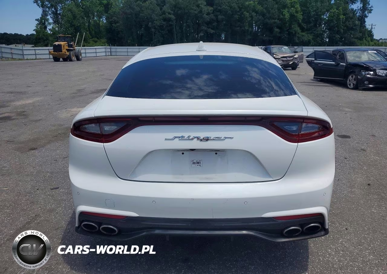 2019 Kia Stinger Base VIN:KNAE15LA7K6070645 - 6