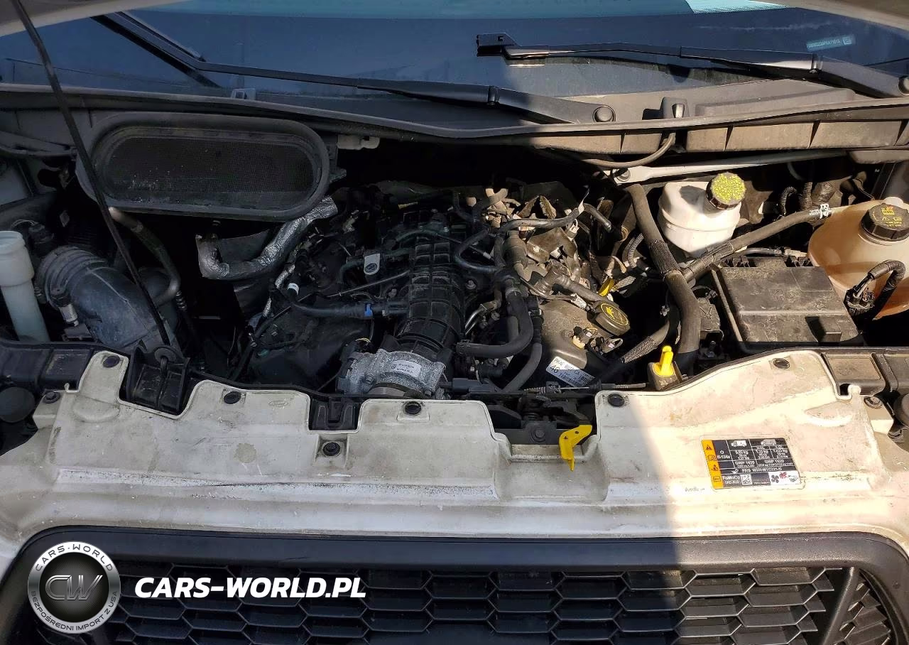2023 Ford Transit Refrigerated Box Truck VIN:1FDBW5ZG9PKA11013 - 11
