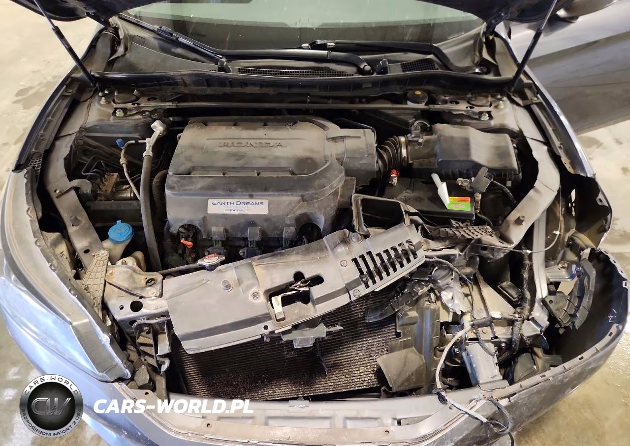 2013 Honda Accord Exl VIN:1HGCR3F87DA022144 - 11