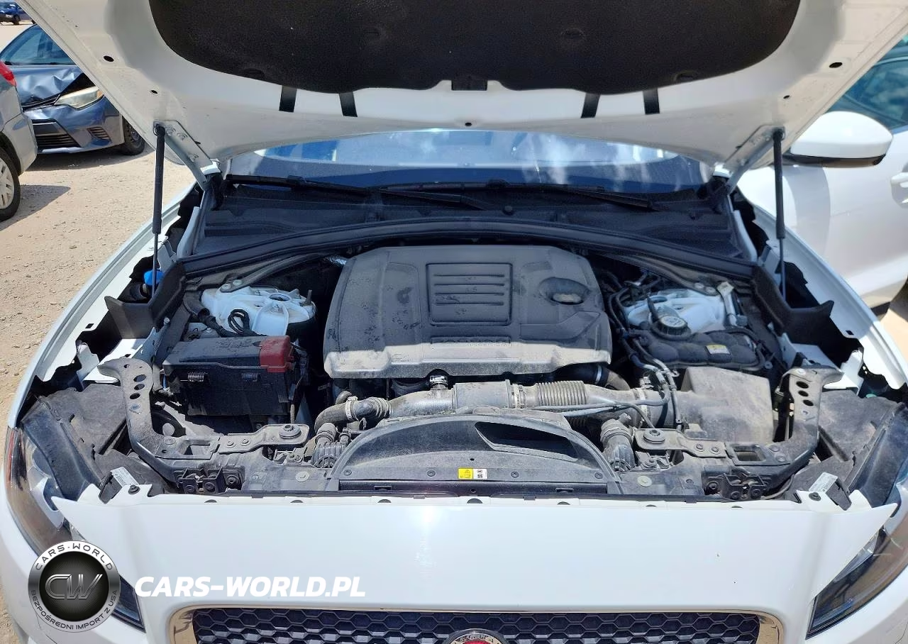 2020 Jaguar F-Pace Prestige VIN:SADCK2FX3LA619671 - 12
