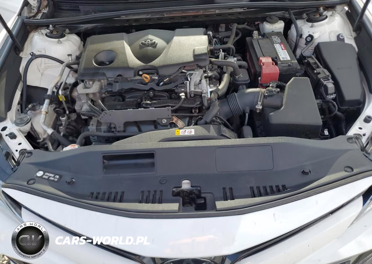 2019 Toyota Camry Le VIN:4T1B11HK1KU247455 - 11