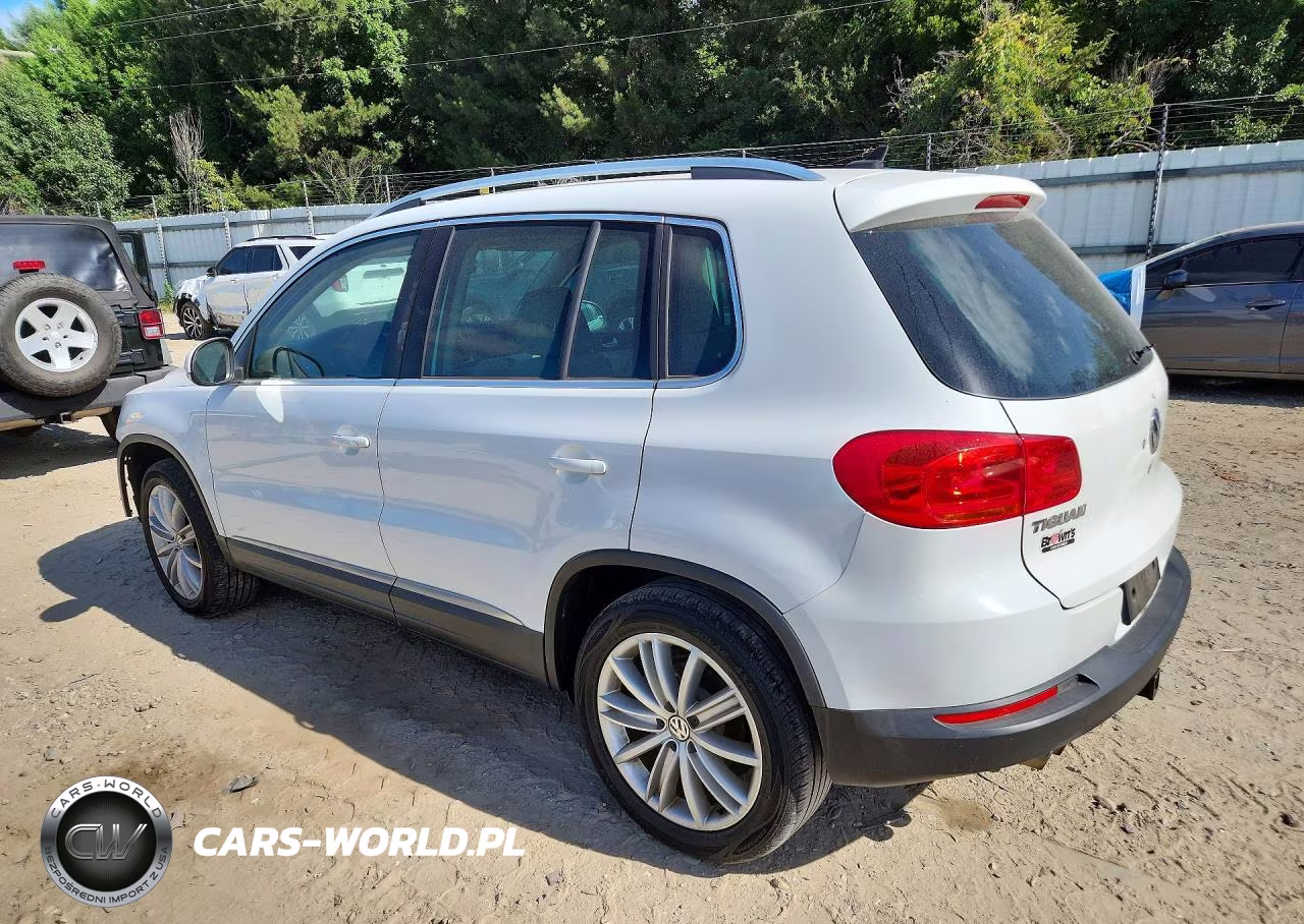 2014 Volkswagen Tiguan S VIN:WVGAV3AXXEW581526 - 2