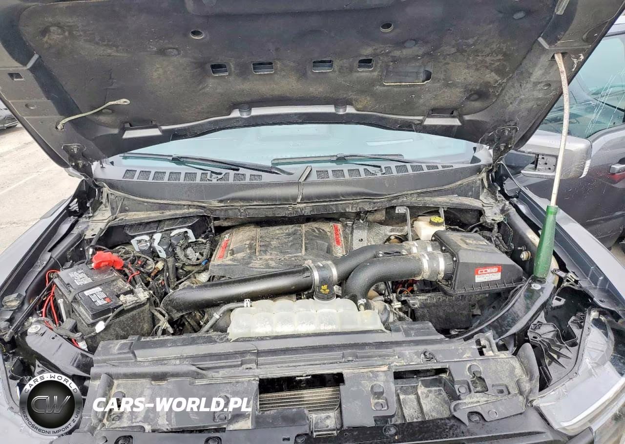 2024 Ford F150 Raptor VIN:1FTFW1RG2RFB80817 - 11