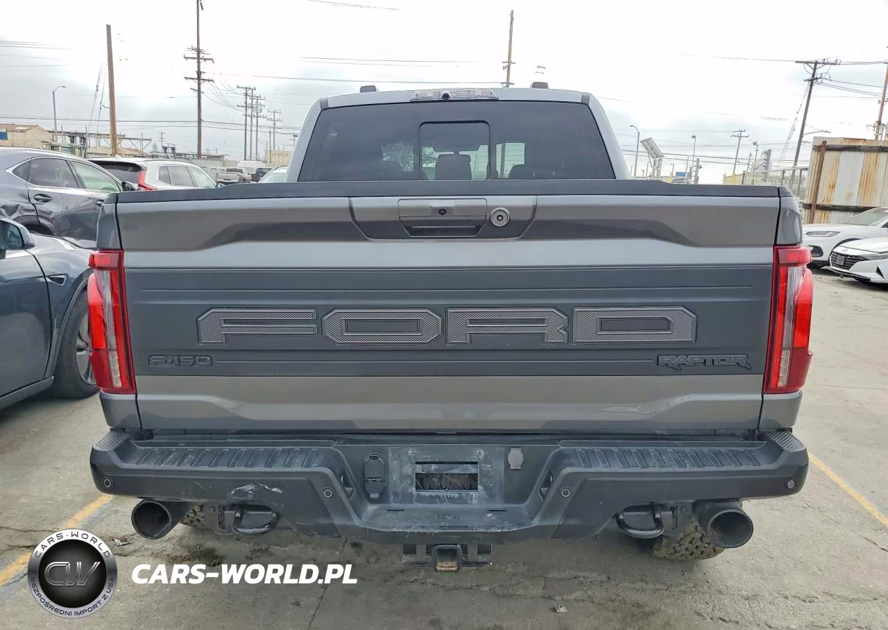 2024 Ford F150 Raptor VIN:1FTFW1RG2RFB80817 - 6