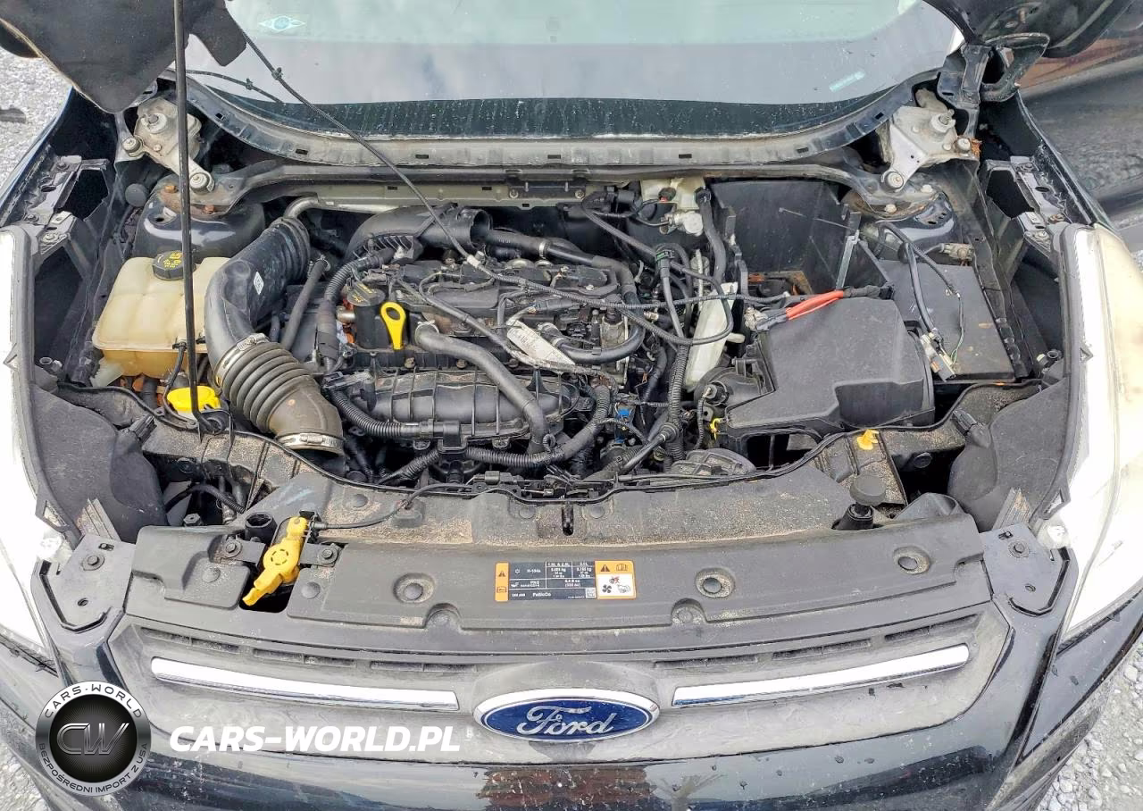2015 Ford Escape Se VIN:1FMCU9GX0FUC10037 - 12