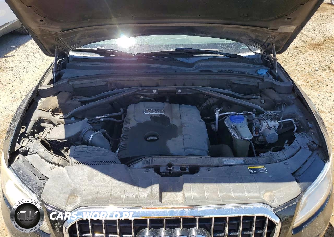 2013 Audi Q5 Premium Plus VIN:WA1LFAFP2DA012506 - 11