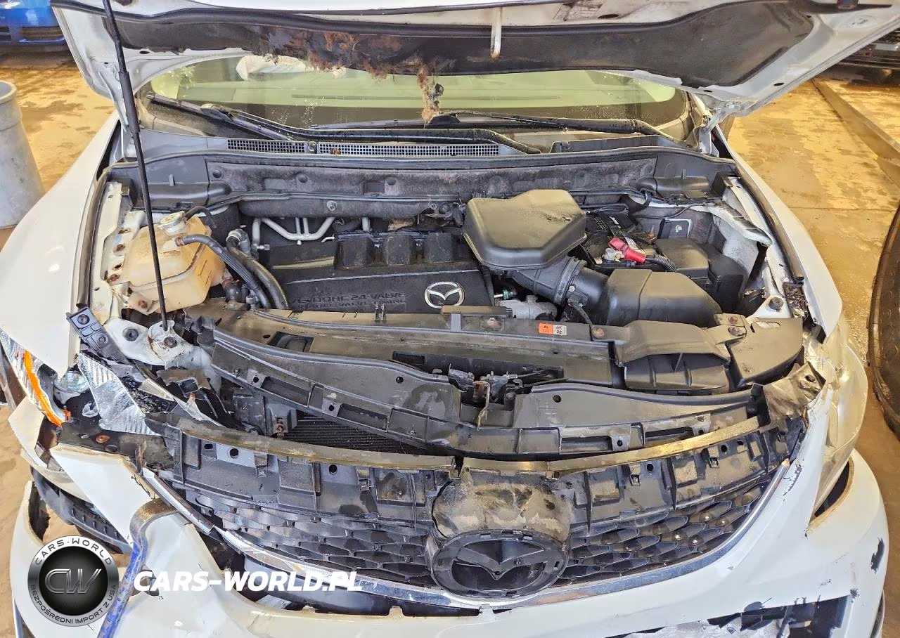 2010 Mazda Cx-9 VIN:JM3TB2MAXA0217425 - 12