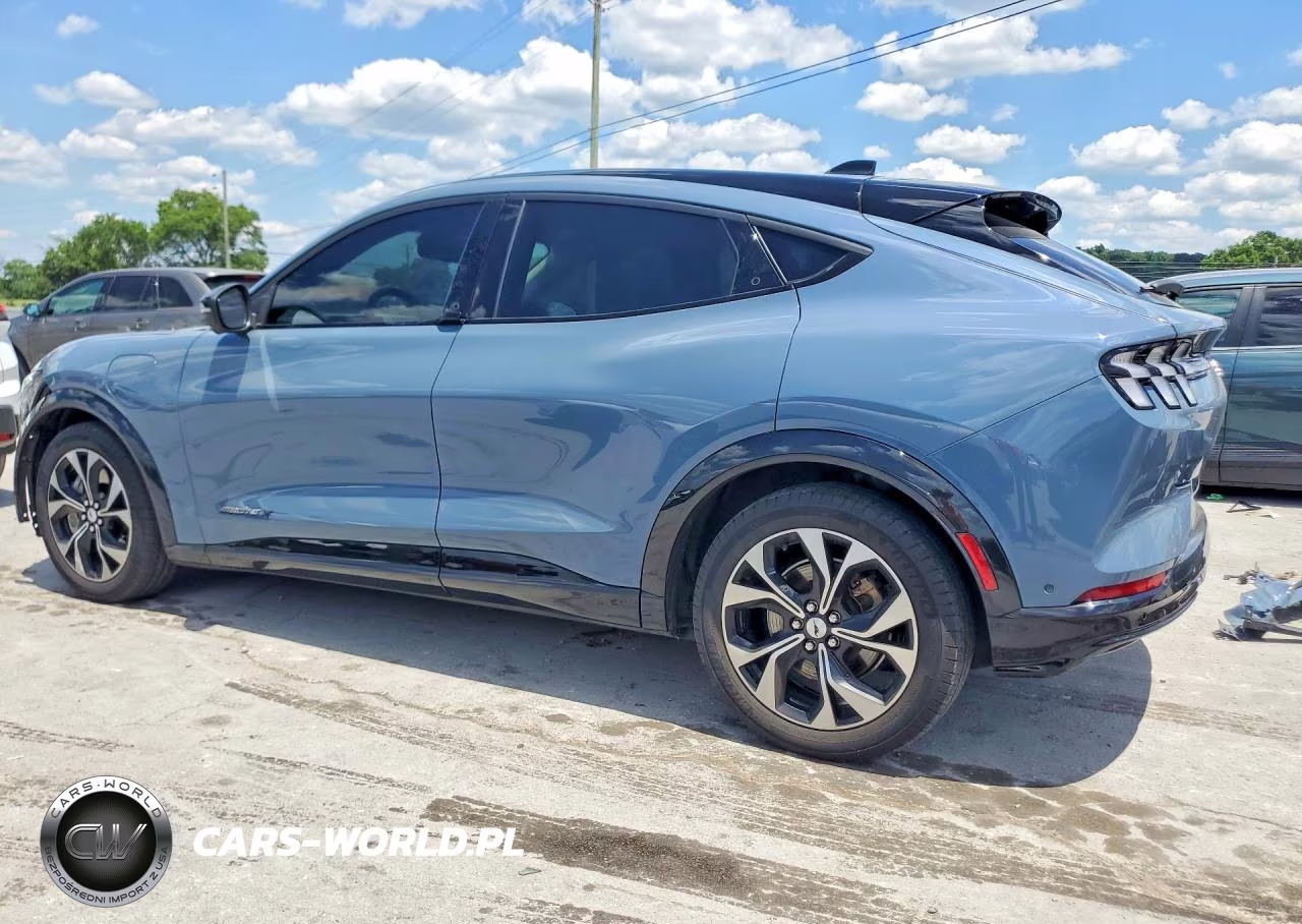 2023 Ford Mustang Mach-E Premium VIN:3FMTK3R7XPMA88289 - 2