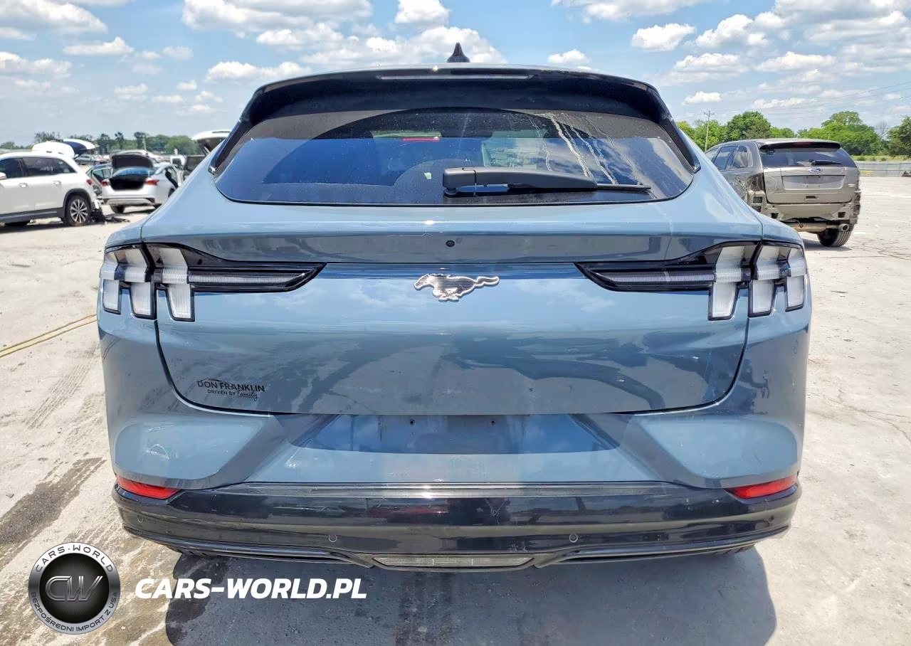 2023 Ford Mustang Mach-E Premium VIN:3FMTK3R7XPMA88289 - 6