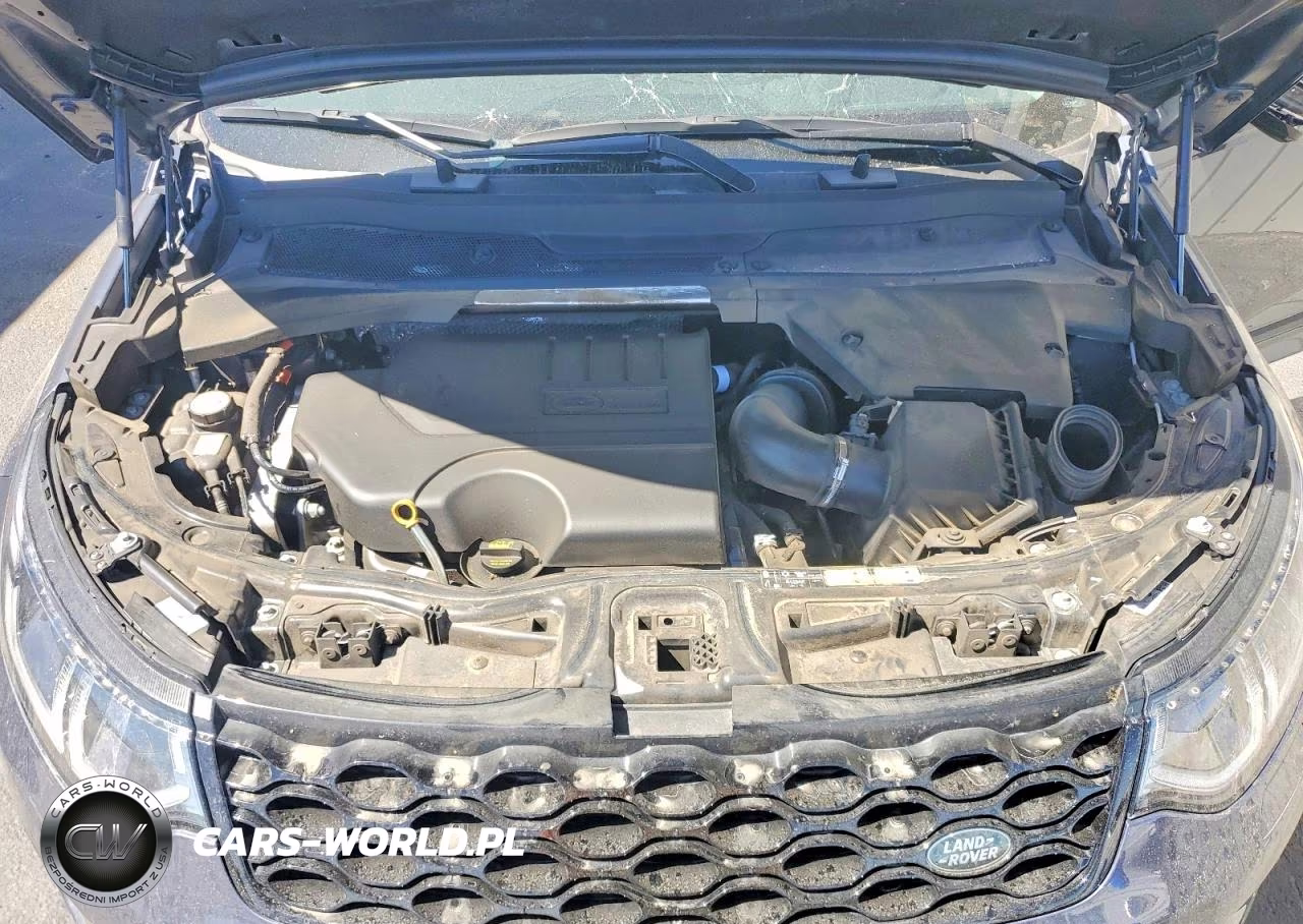 2024 Land Rover Discovery Sport S VIN:SALCJ2FX7RH349206 - 12