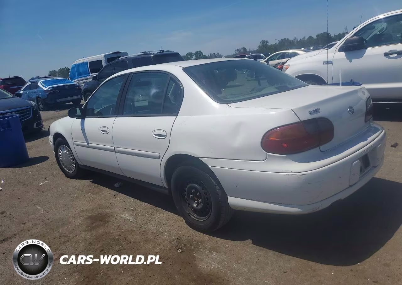 2005 Chevrolet Classic VIN:1G1ND52F65M213018 - 2