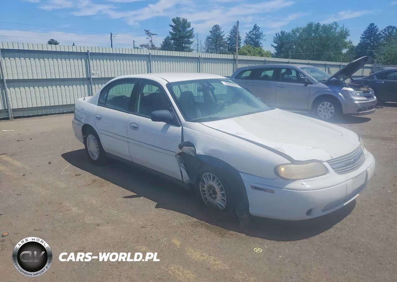 2005 Chevrolet Classic VIN:1G1ND52F65M213018 - 4