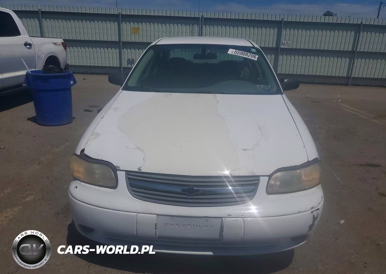 2005 Chevrolet Classic VIN:1G1ND52F65M213018 - 5