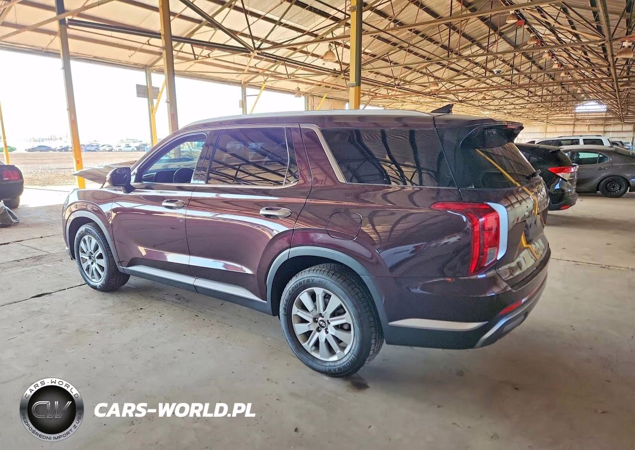 2025 Hyundai Palisade Sel VIN:KM8R2DGE0SU833752 - 2