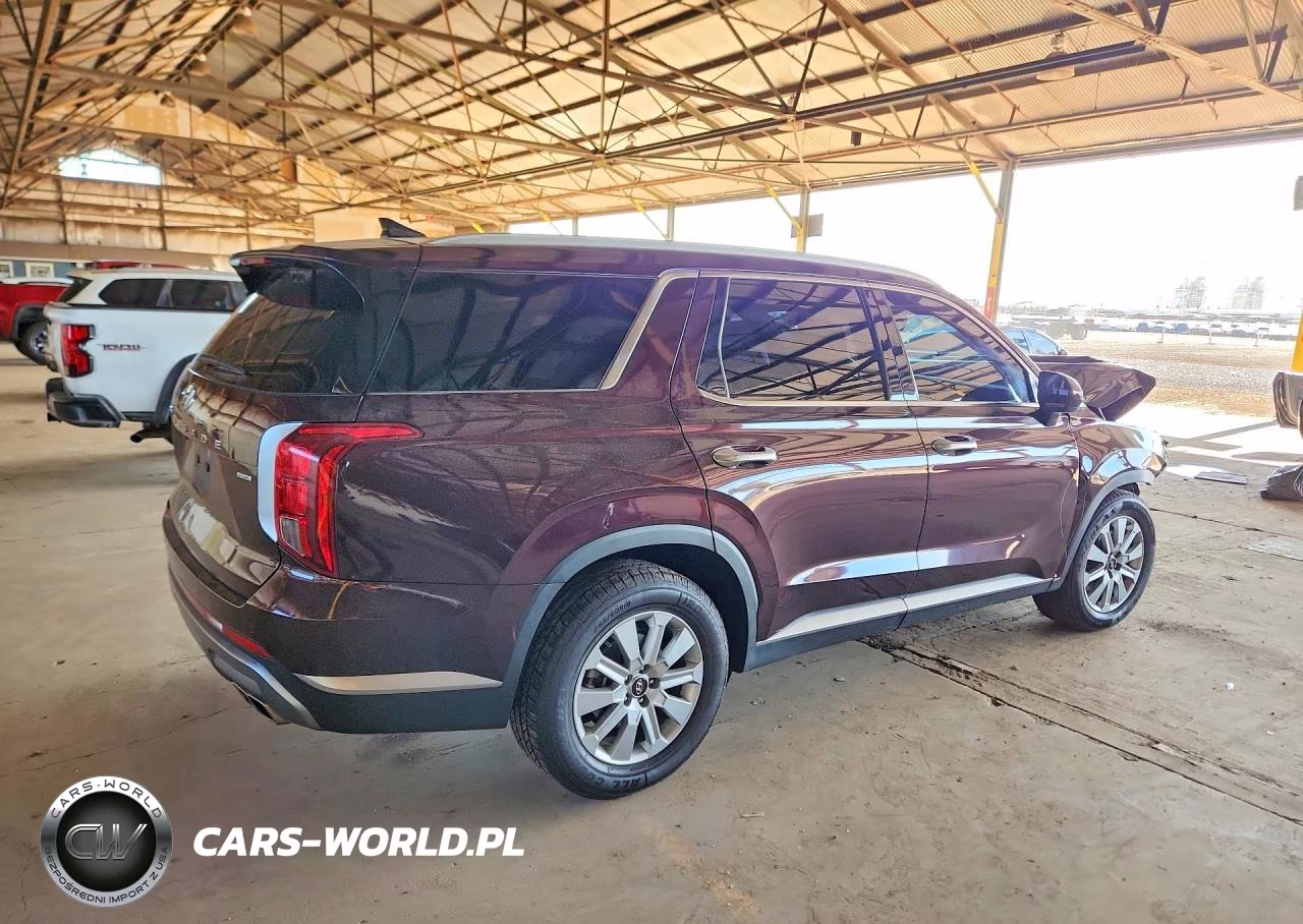 2025 Hyundai Palisade Sel VIN:KM8R2DGE0SU833752 - 3
