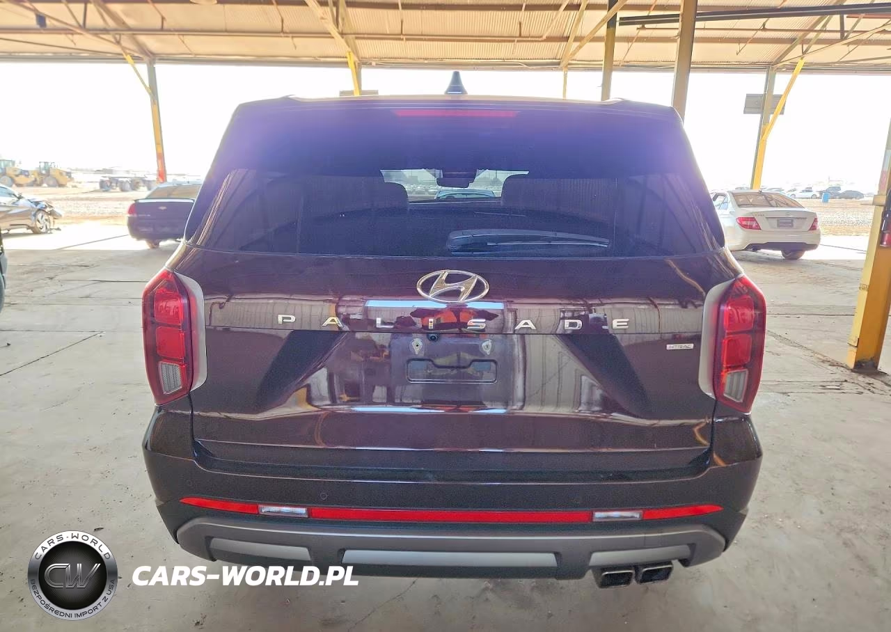 2025 Hyundai Palisade Sel VIN:KM8R2DGE0SU833752 - 6