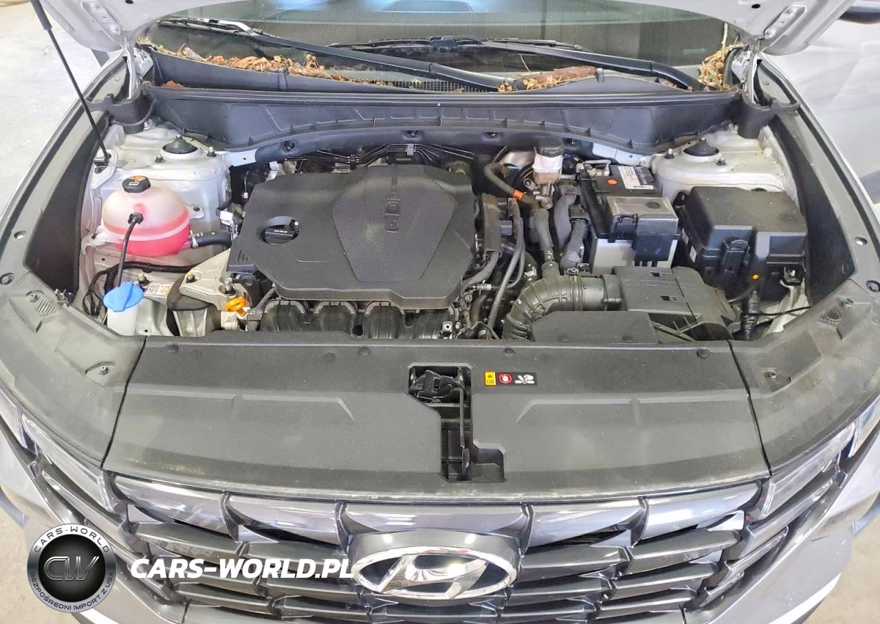 2024 Hyundai Tucson Sel VIN:5NMJF3DE2RH305863 - 12