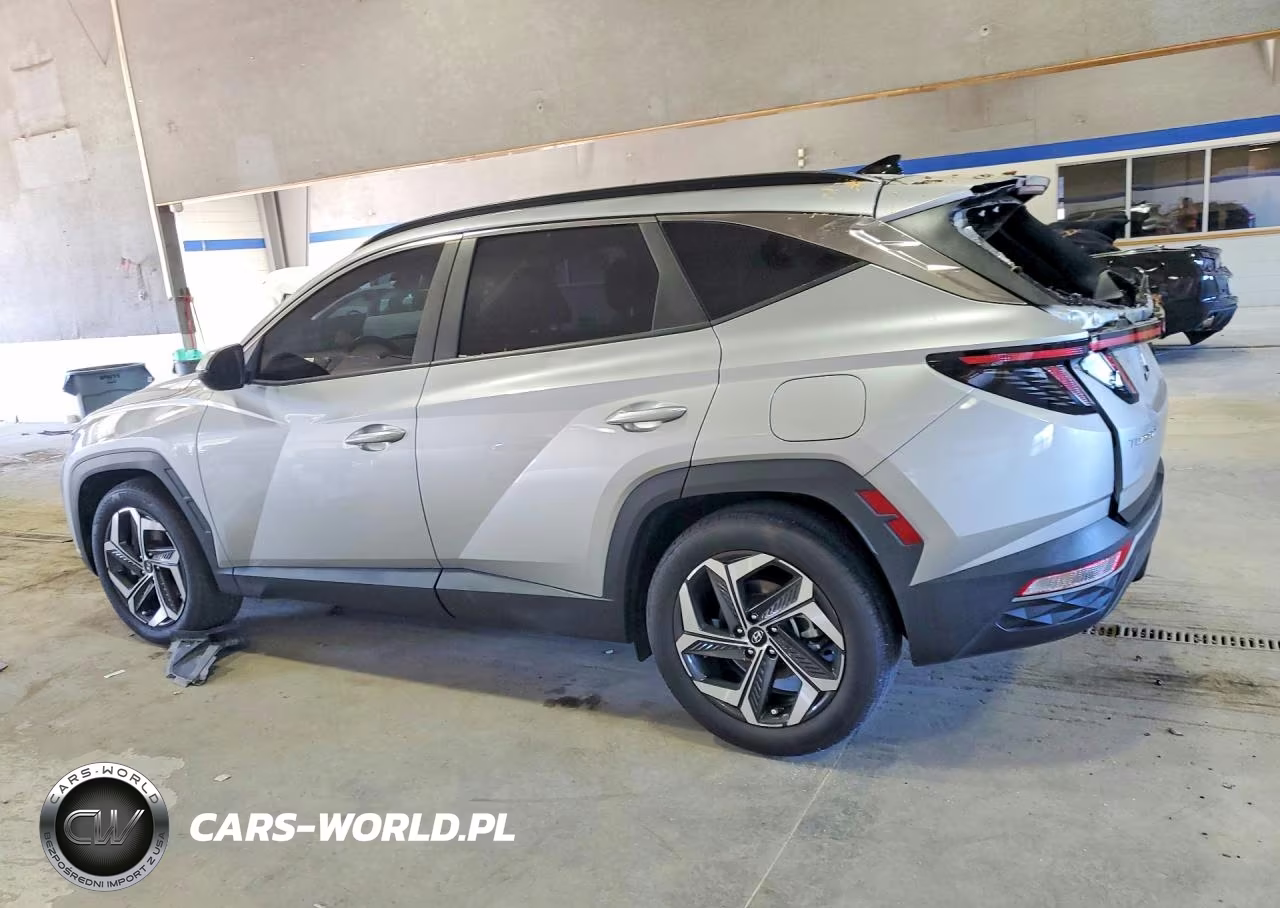 2024 Hyundai Tucson Sel VIN:5NMJF3DE2RH305863 - 2