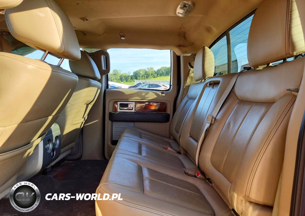 2010 Ford F150 Supercrew VIN:1FTFW1EV8AFB91815 - 10