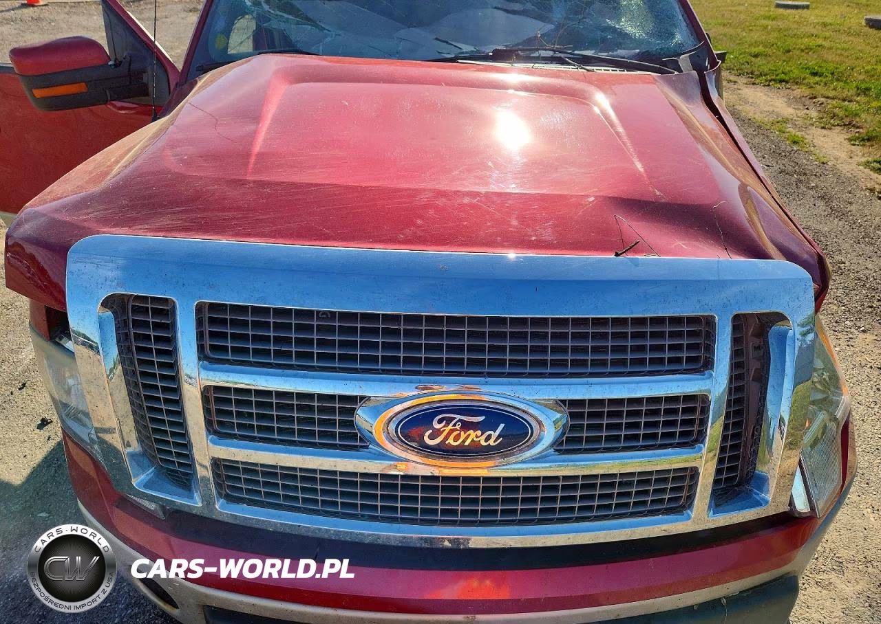 2010 Ford F150 Supercrew VIN:1FTFW1EV8AFB91815 - 11