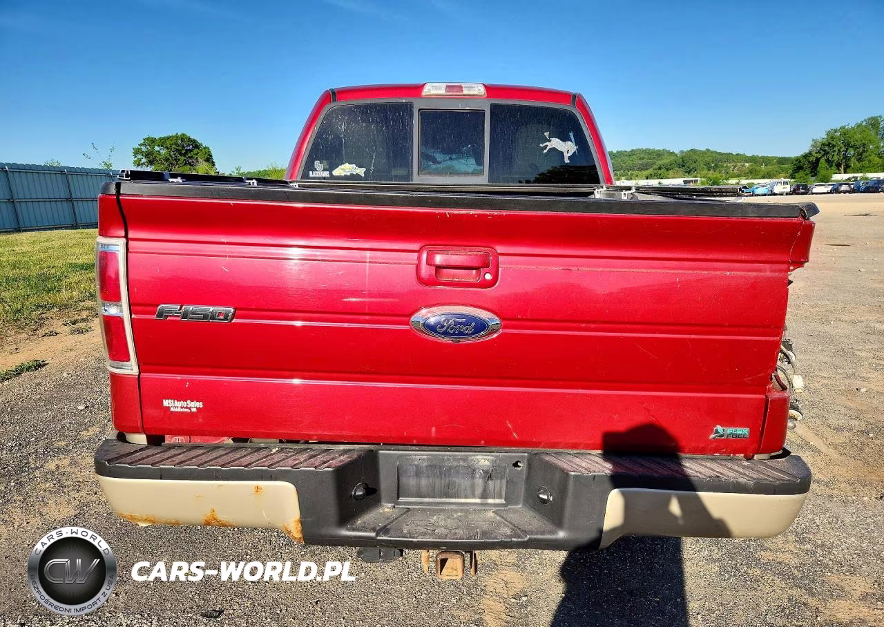 2010 Ford F150 Supercrew VIN:1FTFW1EV8AFB91815 - 6