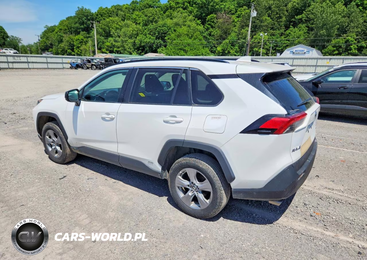 2022 Toyota Rav4 Le VIN:4T3LWRFV4NU054391 - 2