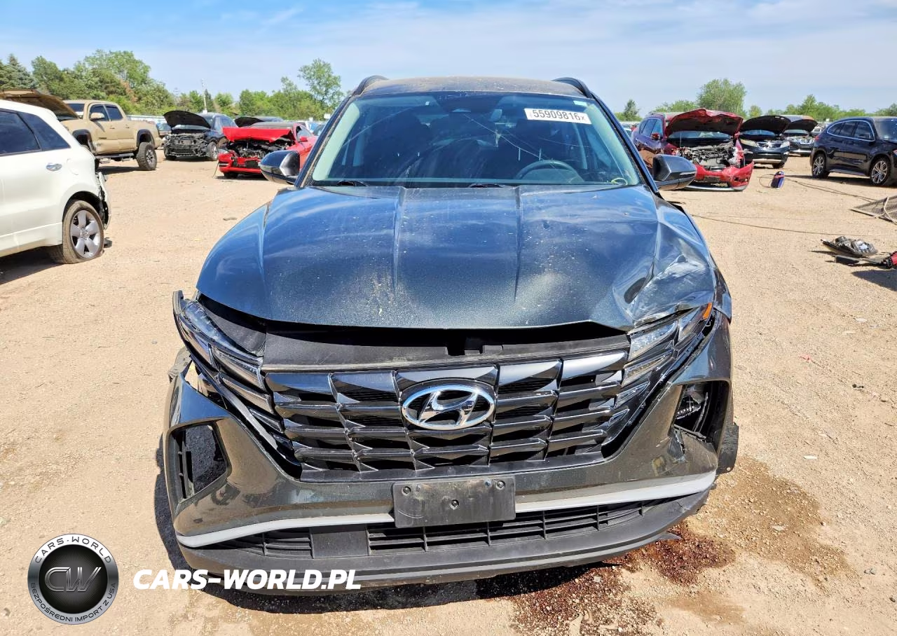 2023 Hyundai Tucson Sel VIN:5NMJB3AEXPH197103 - 5