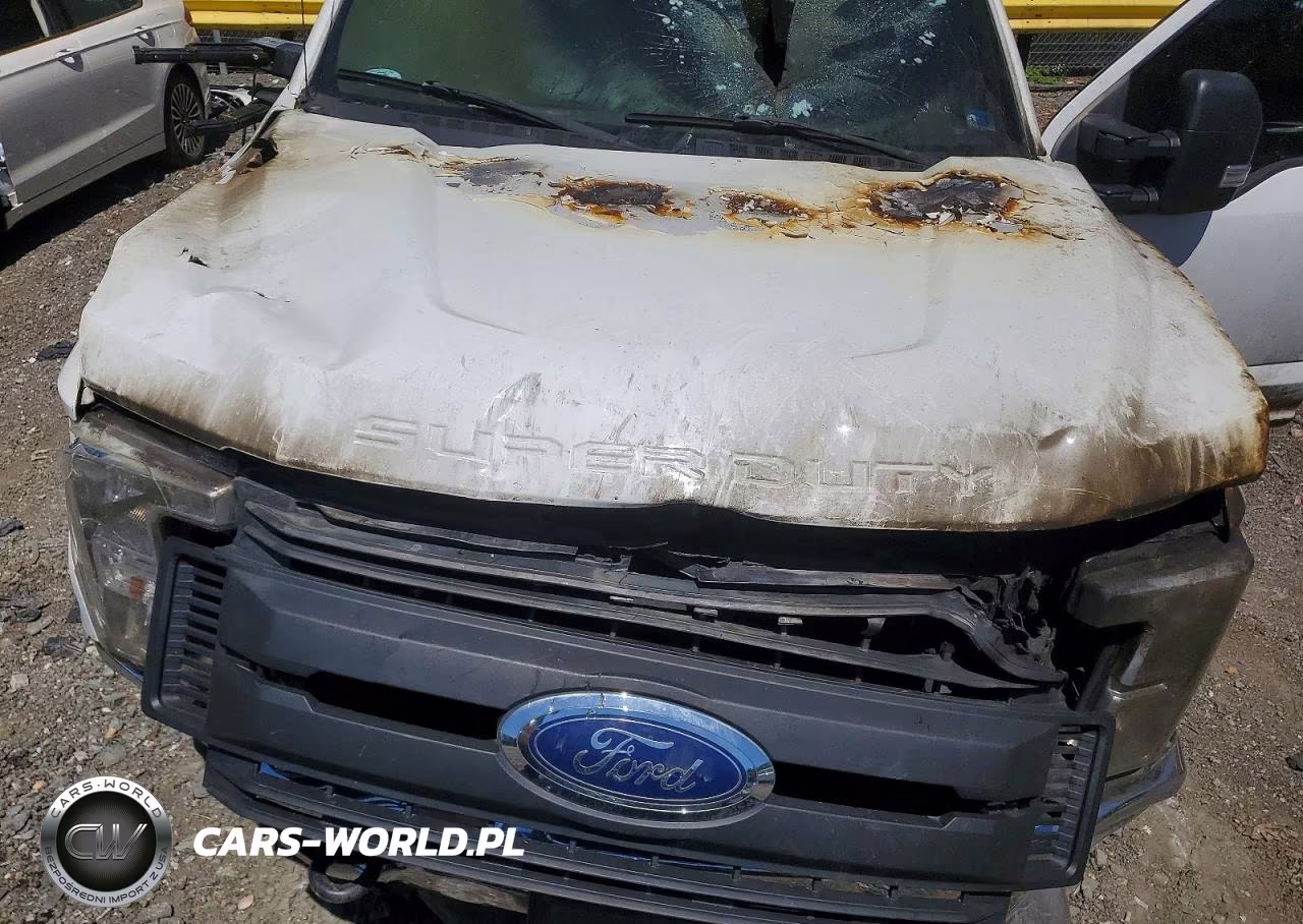 2017 Ford F250 Super Duty VIN:1FT7W2B65HEE92405 - 11