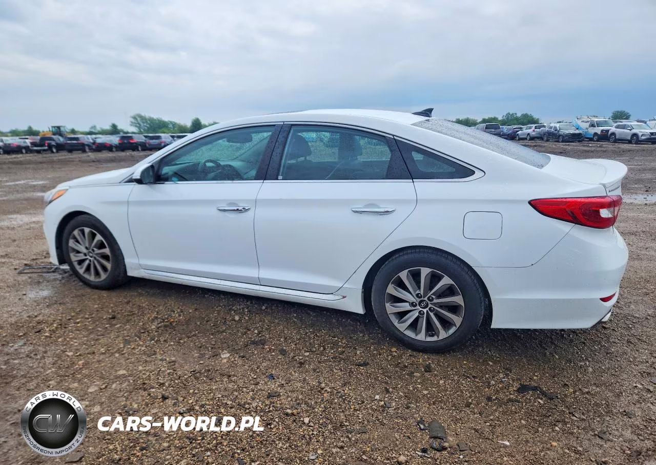 2016 Hyundai Sonata Sport VIN:5NPE34AF9GH313973 - 2