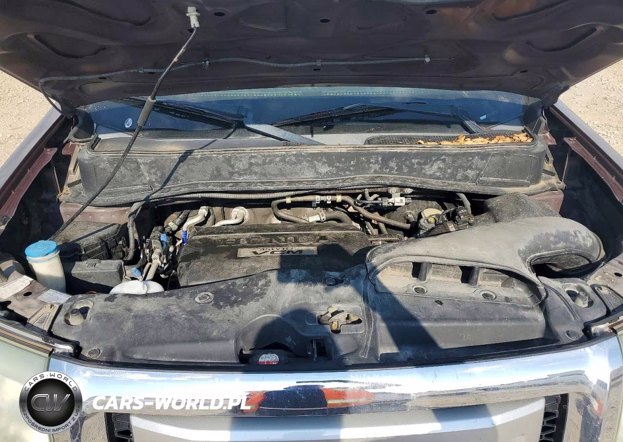 2010 Honda Pilot Exl VIN:5FNYF4H57AB016840 - 12
