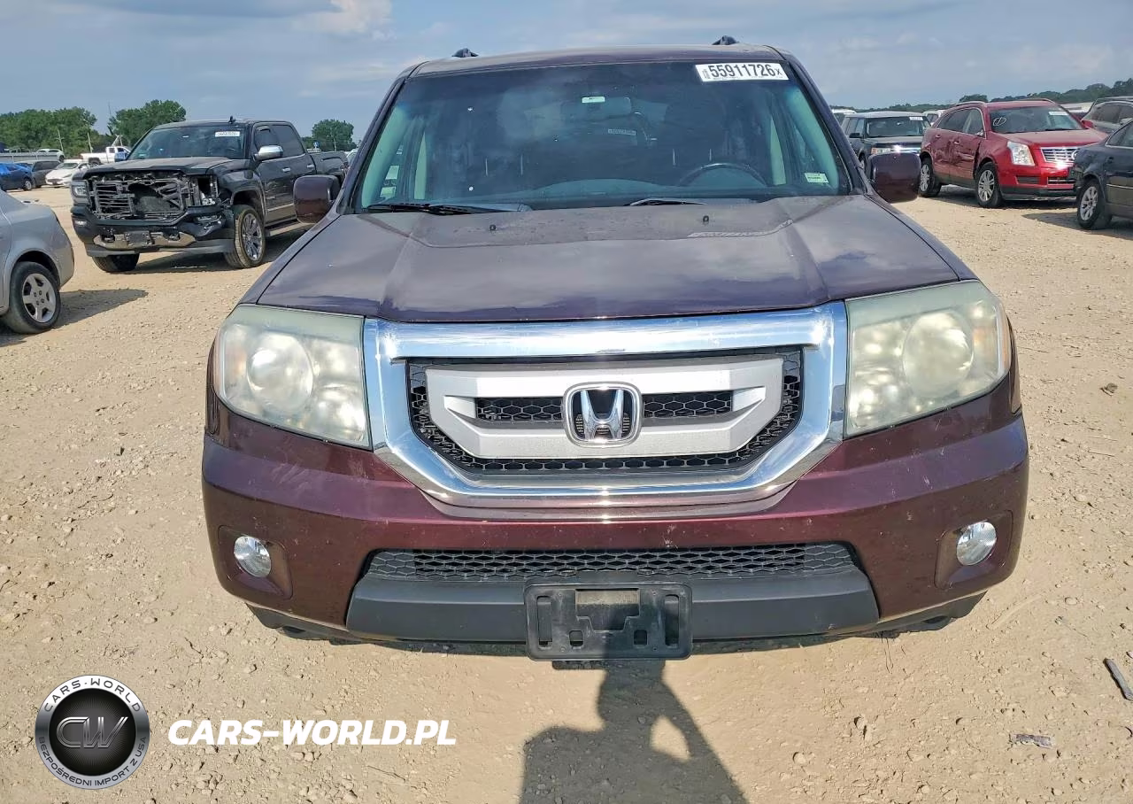 2010 Honda Pilot Exl VIN:5FNYF4H57AB016840 - 5