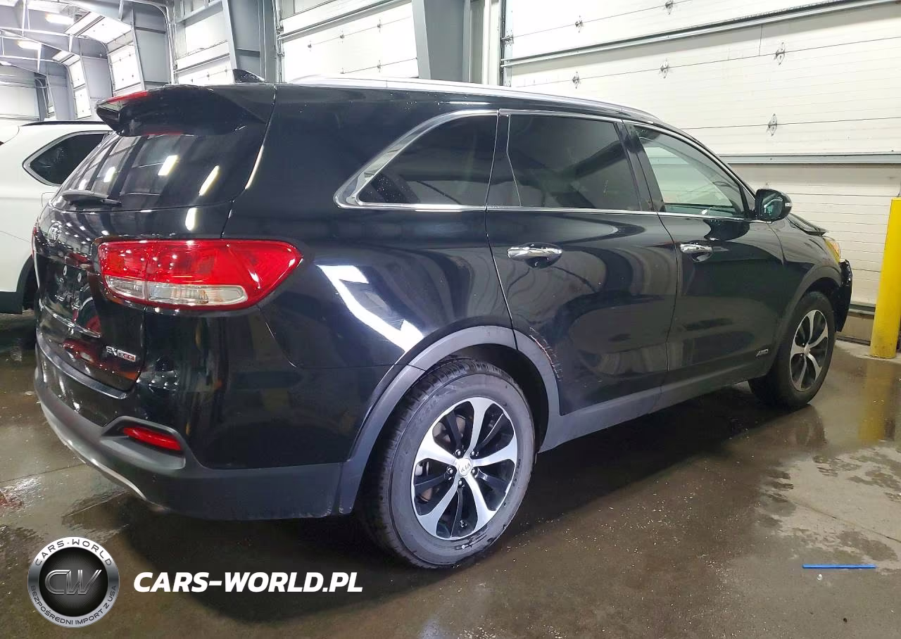 2017 Kia Sorento Ex VIN:5XYPHDA18HG252655 - 3