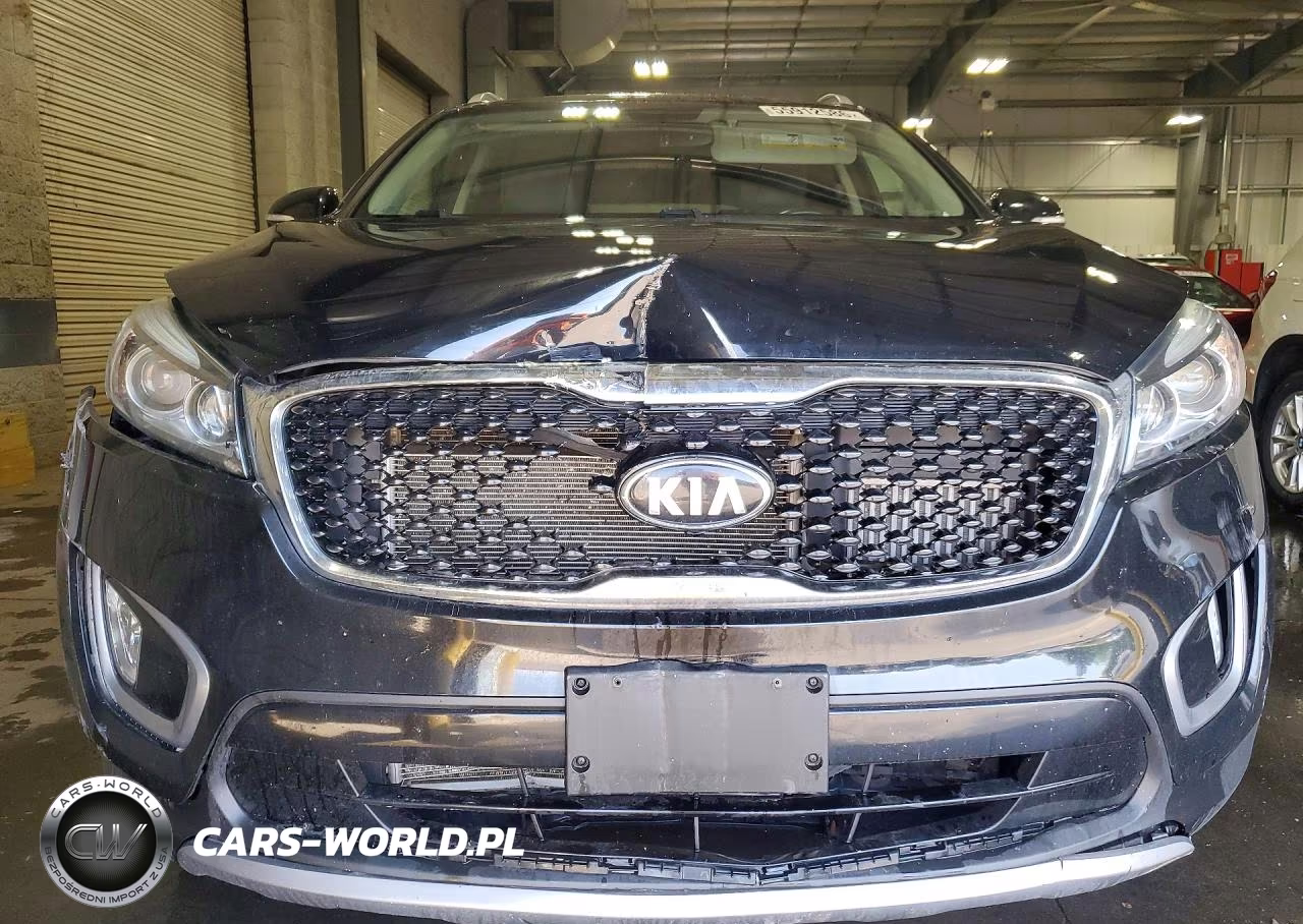2017 Kia Sorento Ex VIN:5XYPHDA18HG252655 - 5