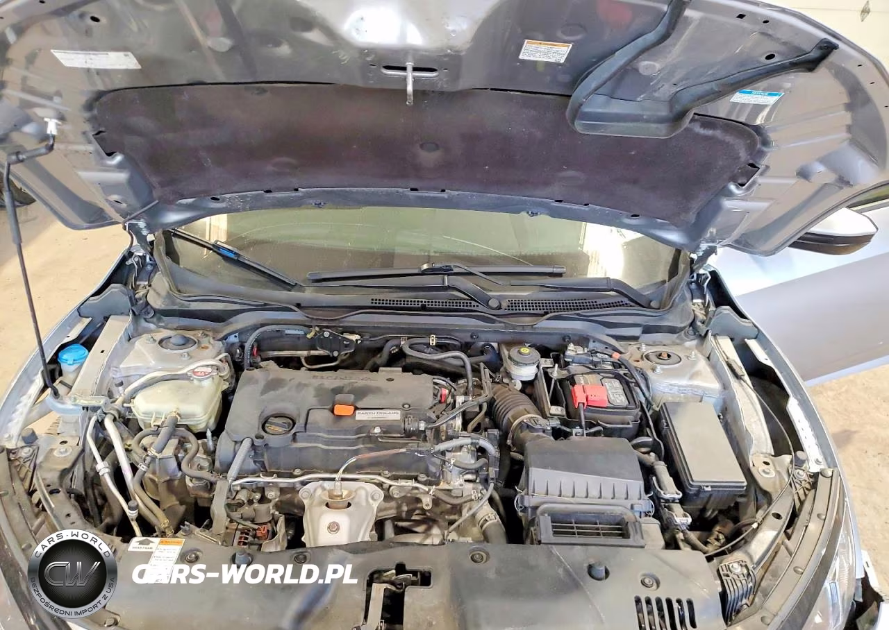 2019 Honda Civic Sport VIN:2HGFC2F82KH512594 - 11