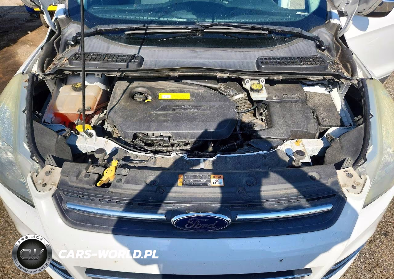 2016 Ford Escape Se VIN:1FMCU0GX0GUB22330 - 12