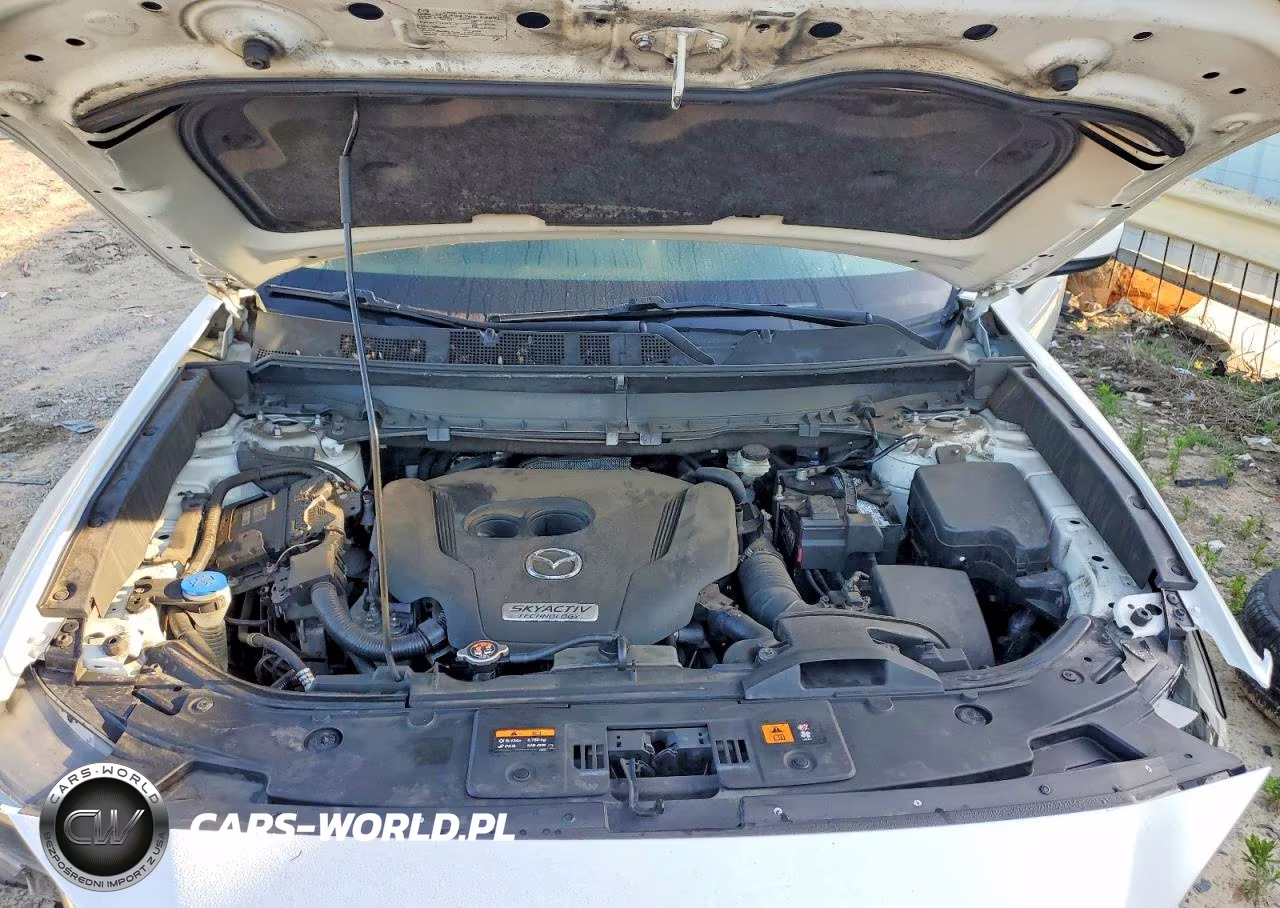 2016 Mazda Cx-9 Touring VIN:JM3TCBCY0G0114485 - 12