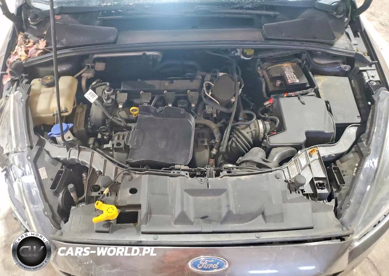 2016 Ford Focus Se VIN:1FADP3K28GL299572 - 11