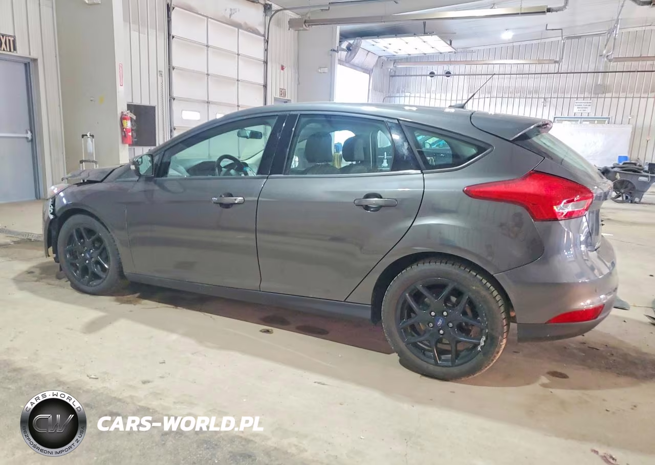 2016 Ford Focus Se VIN:1FADP3K28GL299572 - 2