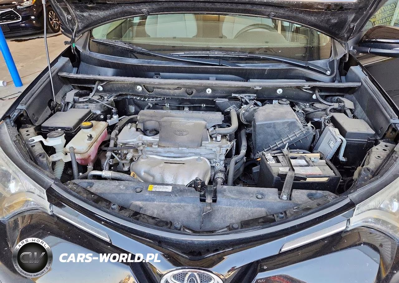 2016 Toyota Rav4 Xle VIN:2T3RFREV1GW484720 - 12