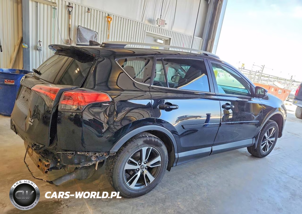 2016 Toyota Rav4 Xle VIN:2T3RFREV1GW484720 - 3