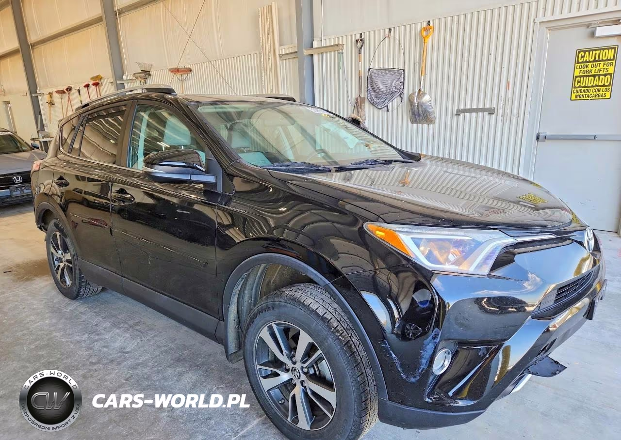 2016 Toyota Rav4 Xle VIN:2T3RFREV1GW484720 - 4