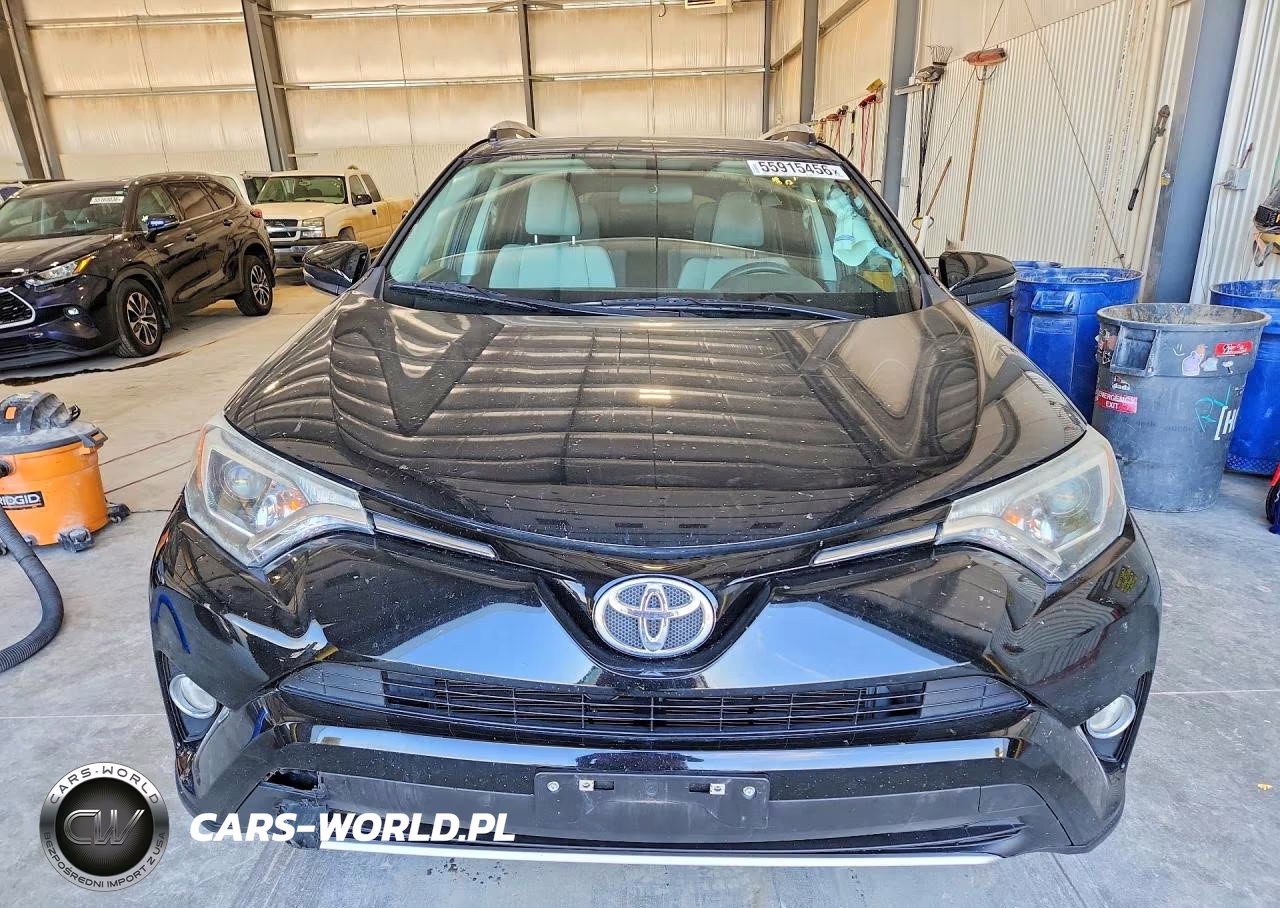 2016 Toyota Rav4 Xle VIN:2T3RFREV1GW484720 - 5