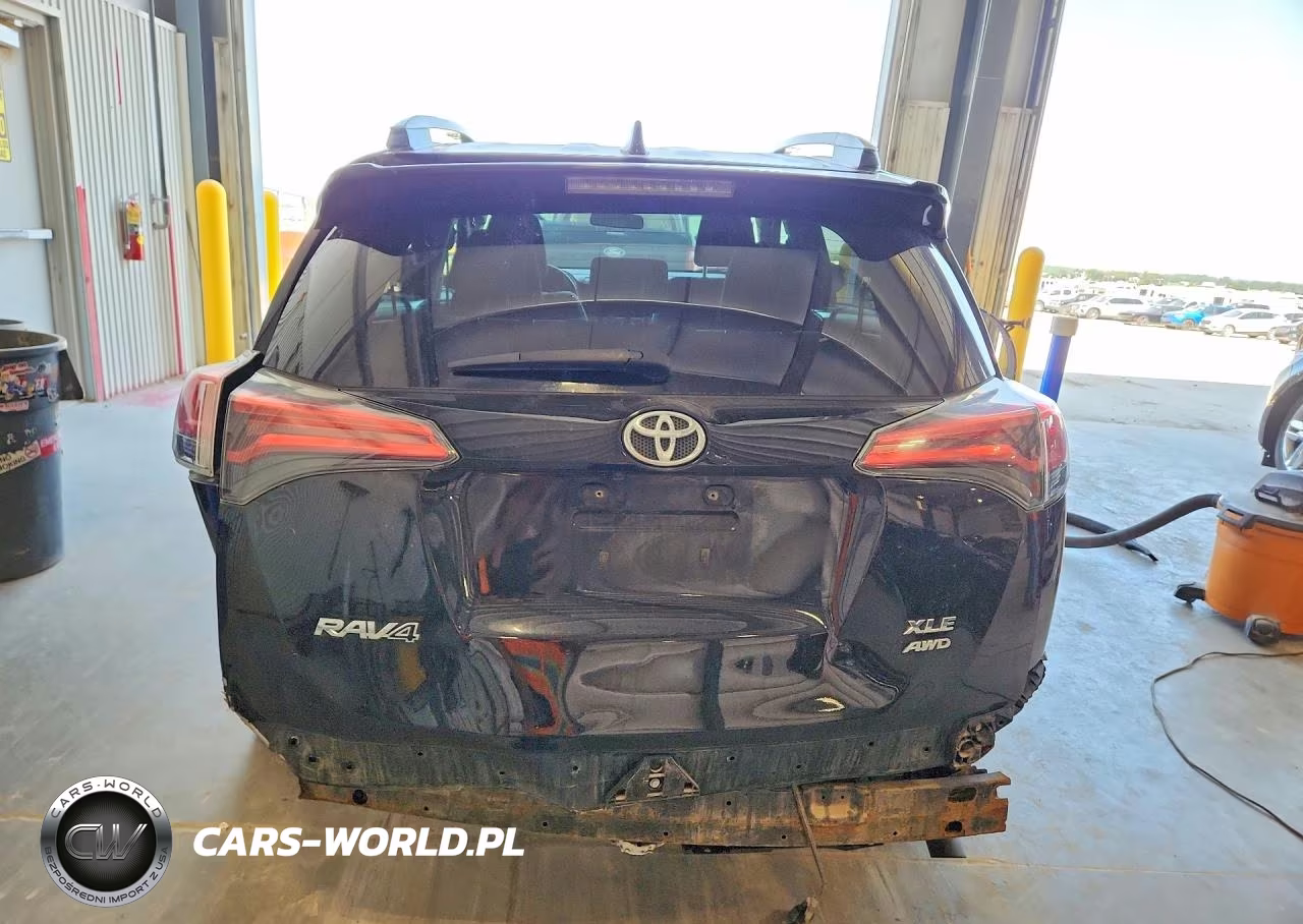 2016 Toyota Rav4 Xle VIN:2T3RFREV1GW484720 - 6