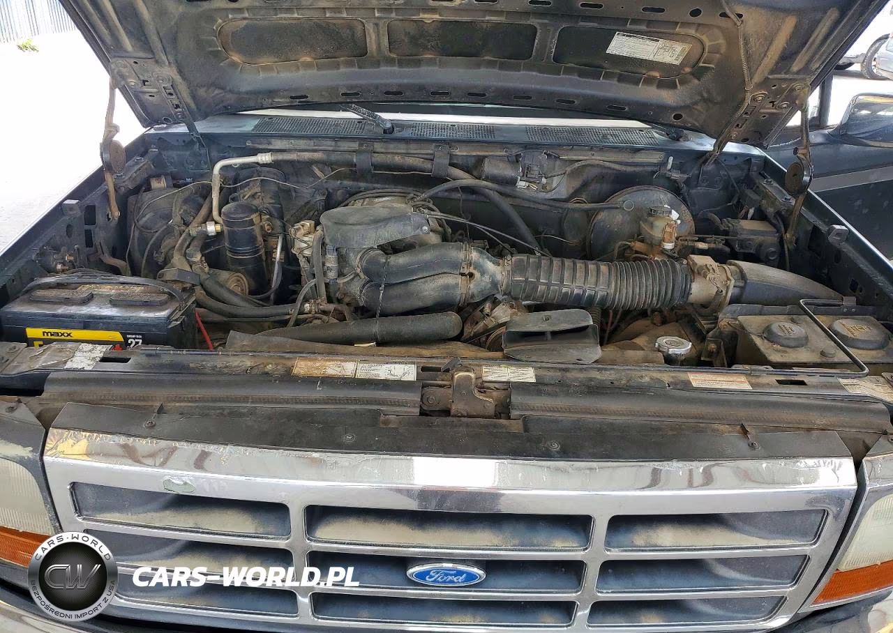 1994 Ford F150 VIN:1FTEX15N5RKB77124 - 11