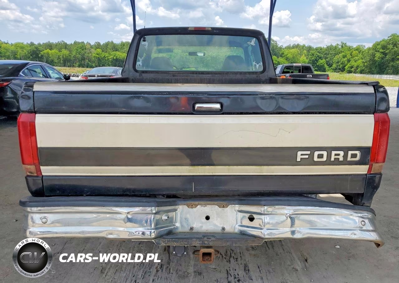 1994 Ford F150 VIN:1FTEX15N5RKB77124 - 6