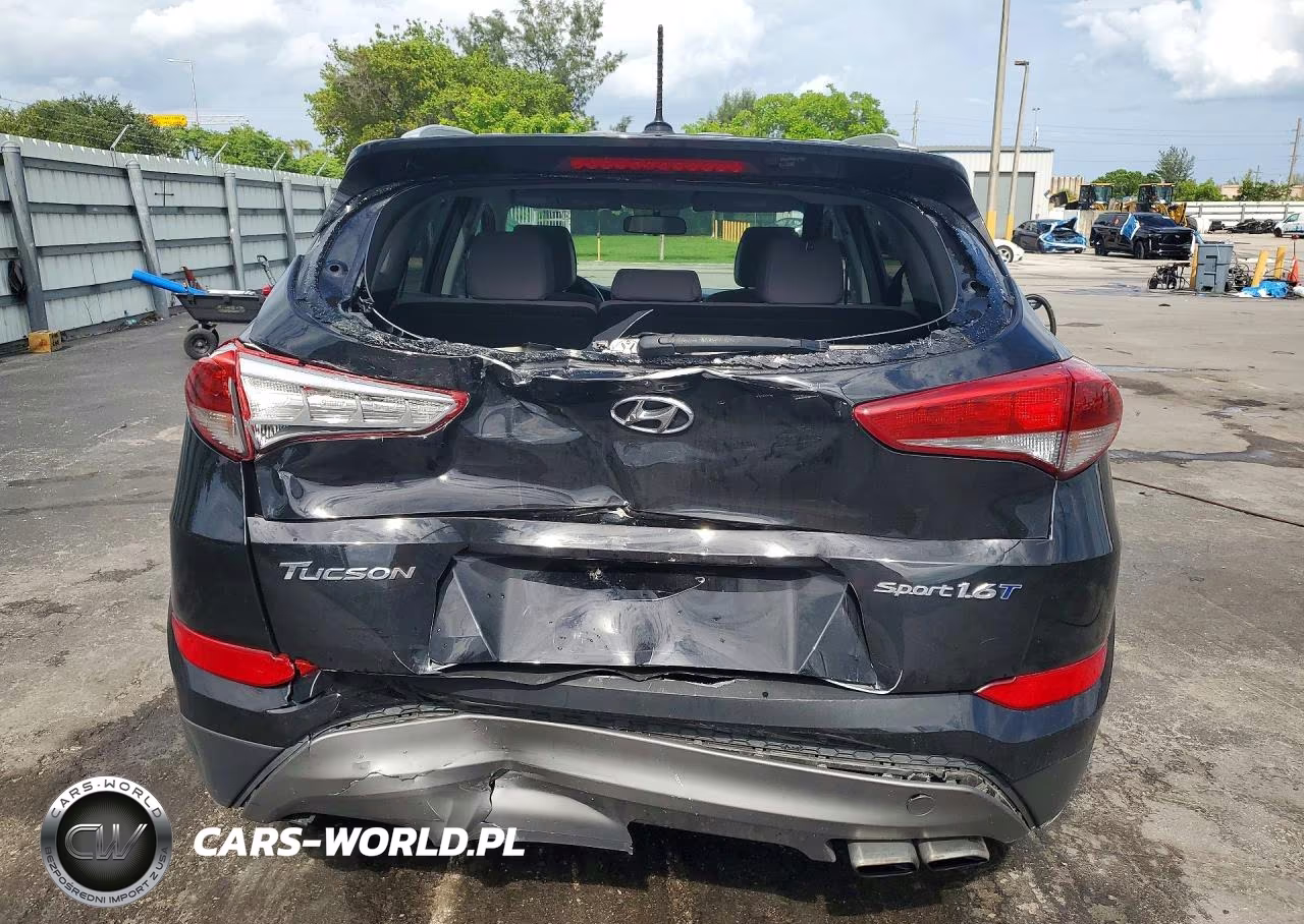 2016 Hyundai Tucson Sport VIN:KM8J33A21GU212563 - 6