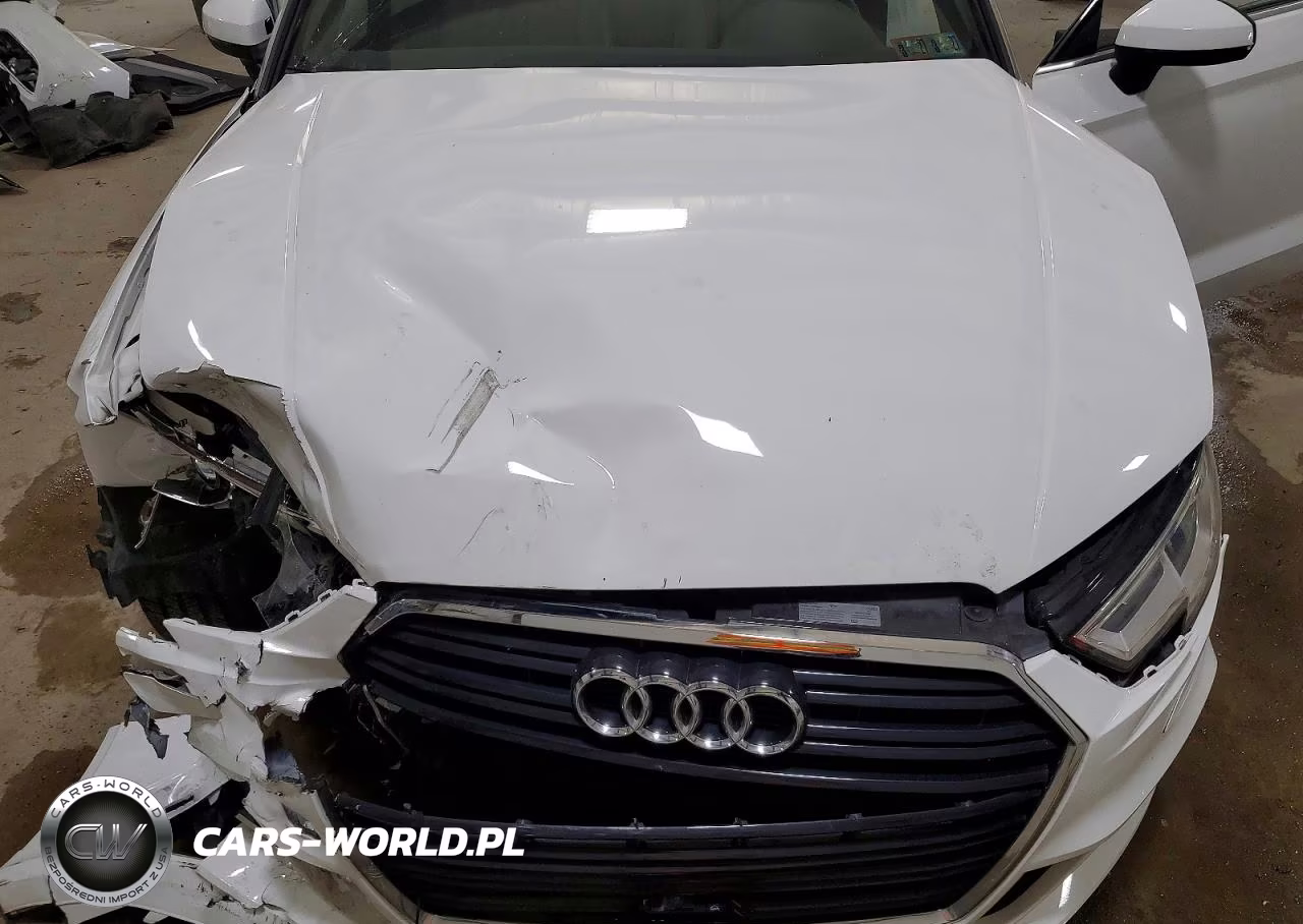 2018 Audi A3 Premium Plus VIN:WAUY8LFF5J1029625 - 11