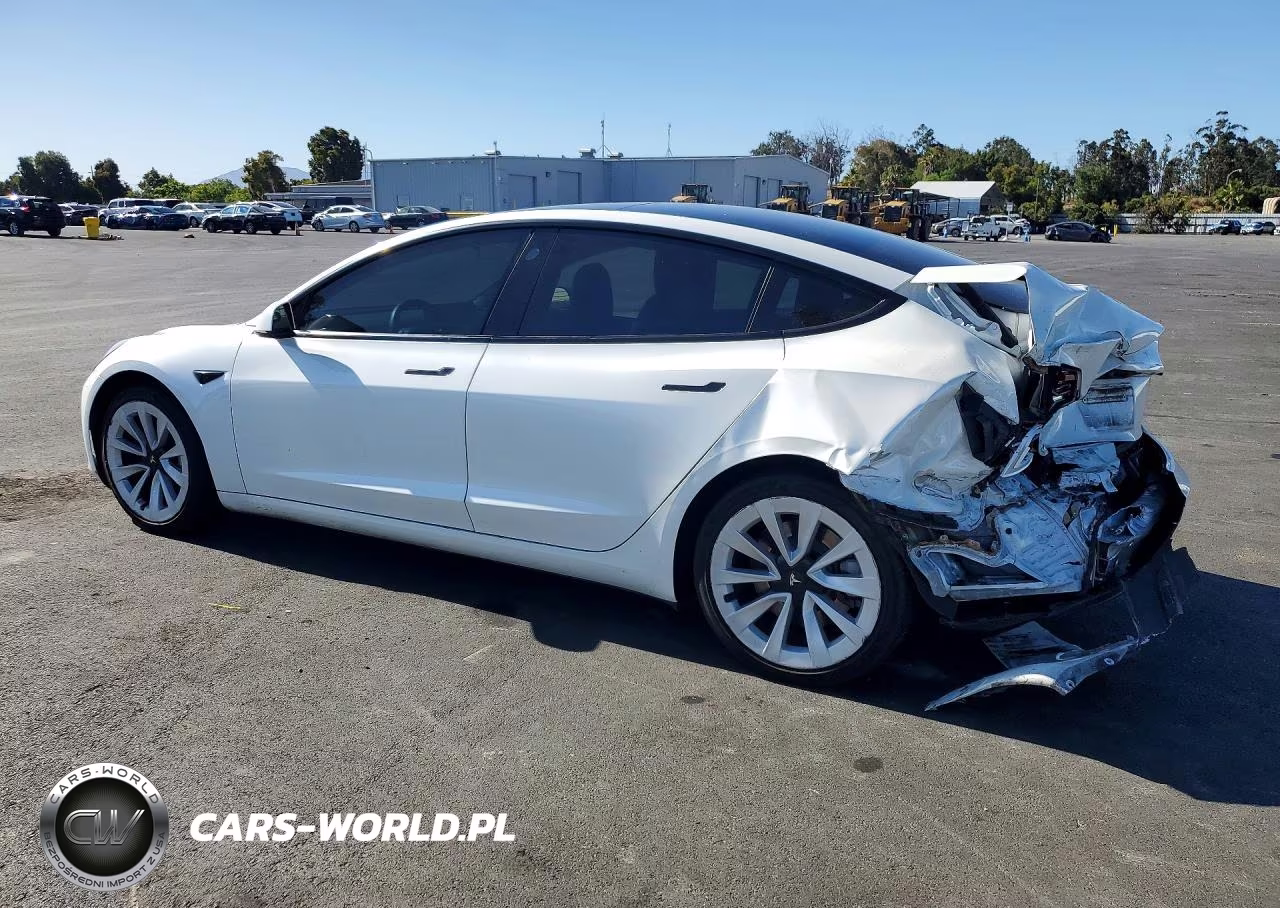 2021 Tesla Model 3 VIN:5YJ3E1EB3MF002511 - 2