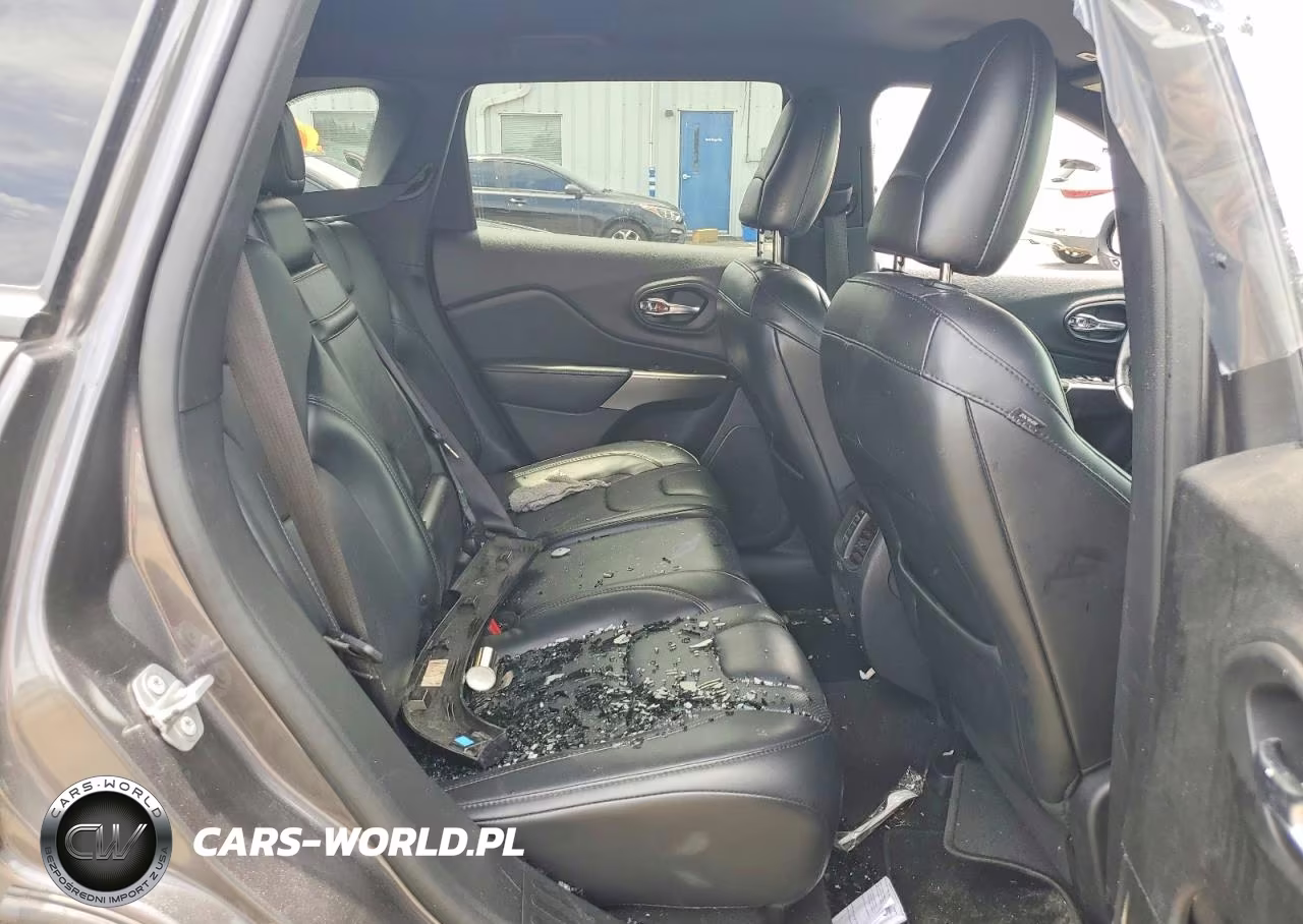 2019 Jeep Cherokee Limited VIN:1C4PJMDX0KD354235 - 11