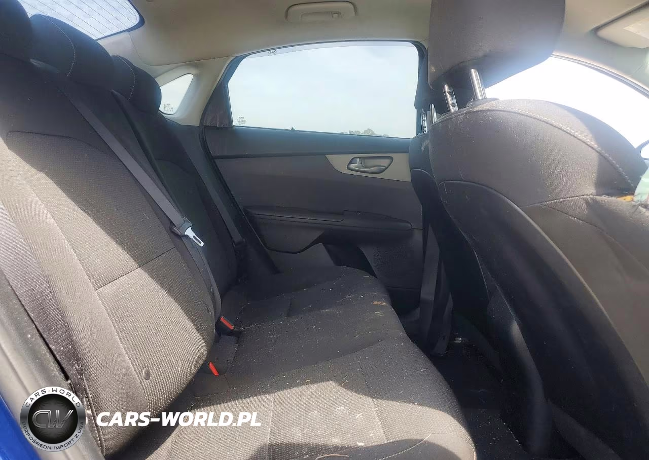 2019 Kia Forte Lxs VIN:3KPF24AD6KE042793 - 10